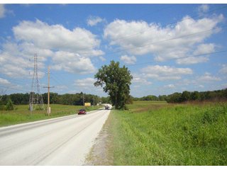 Property photo 5 - 60 +/- Acres Offered in 3 Tracts - Real Estate Auction